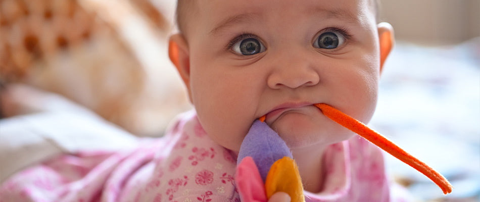 Baby in rosa Kleidung kaut auf einem bunten Spielzeug, zeigt die orale Phase des Babys.